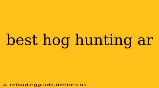 best hog hunting ar