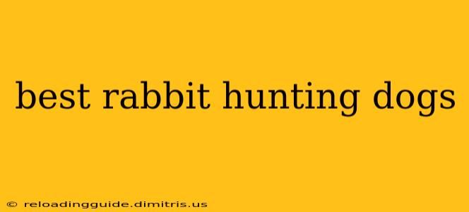 best rabbit hunting dogs