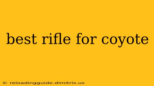 best rifle for coyote