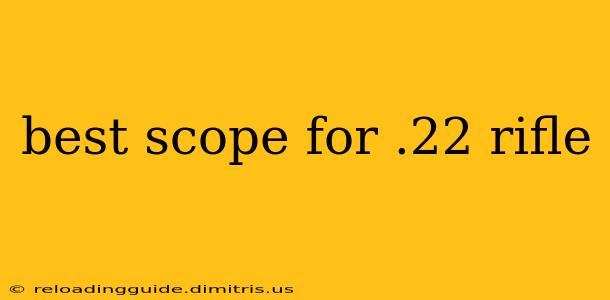 best scope for .22 rifle