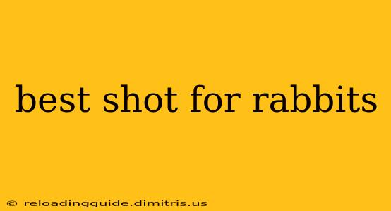 best shot for rabbits