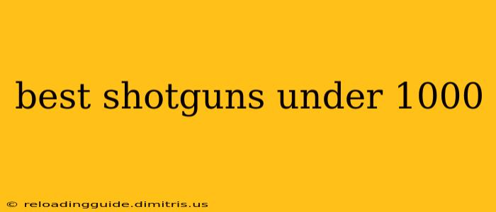 best shotguns under 1000