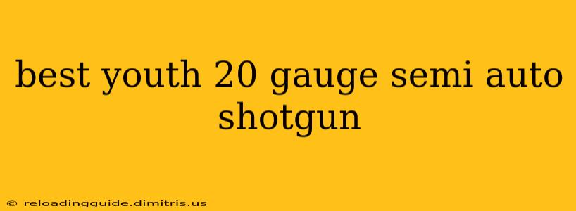 best youth 20 gauge semi auto shotgun