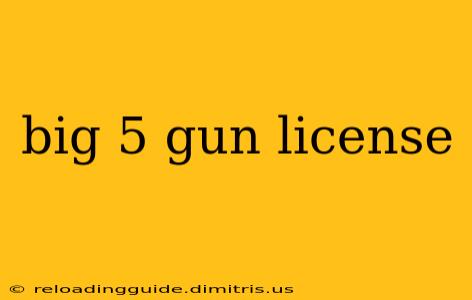 big 5 gun license