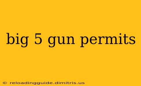 big 5 gun permits