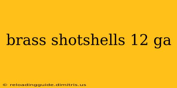 brass shotshells 12 ga