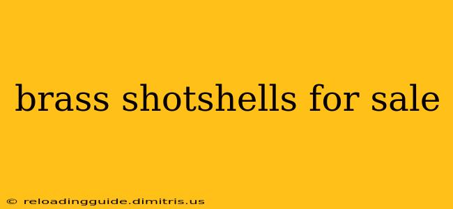 brass shotshells for sale