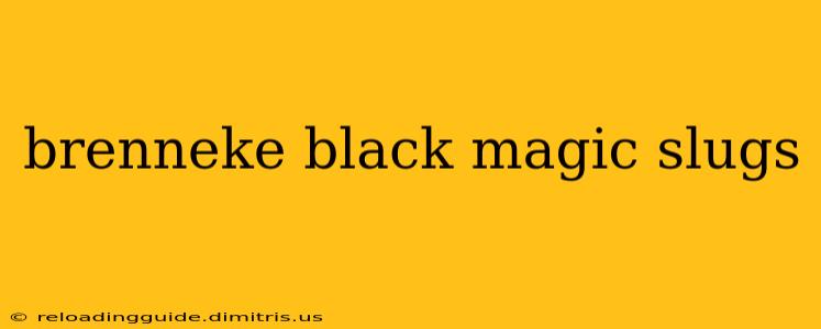 brenneke black magic slugs