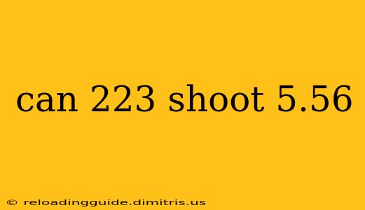 can 223 shoot 5.56