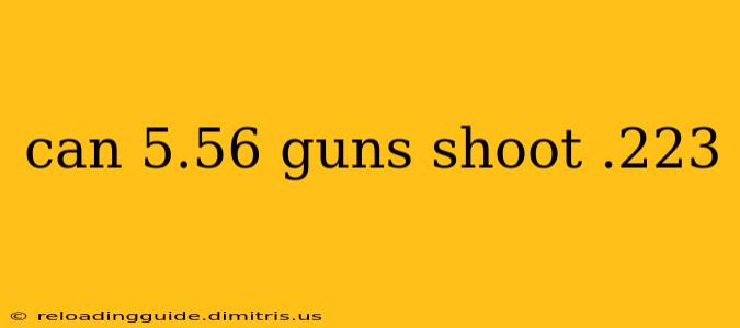 can 5.56 guns shoot .223