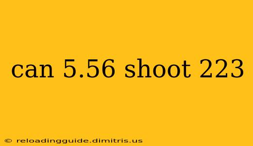 can 5.56 shoot 223