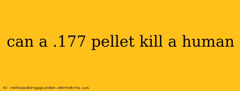 can a .177 pellet kill a human