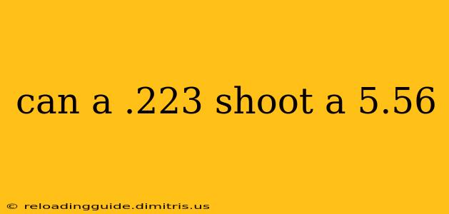 can a .223 shoot a 5.56