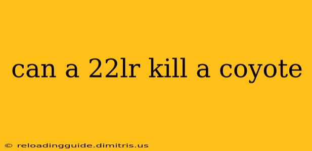 can a 22lr kill a coyote