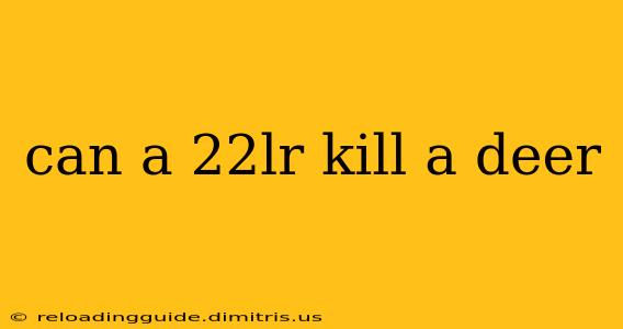 can a 22lr kill a deer