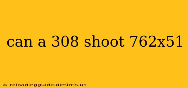 can a 308 shoot 762x51