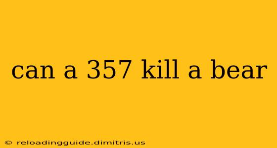 can a 357 kill a bear