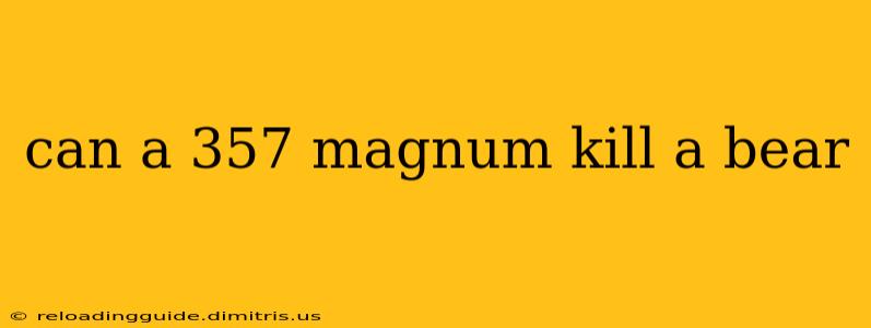 can a 357 magnum kill a bear