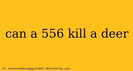 can a 556 kill a deer