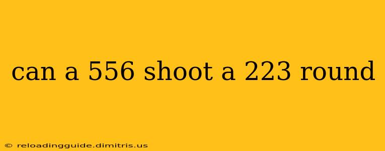 can a 556 shoot a 223 round