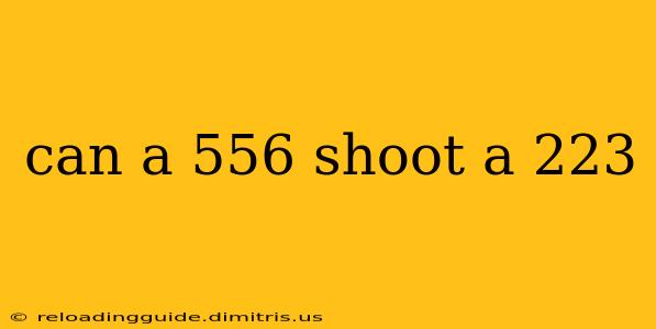 can a 556 shoot a 223