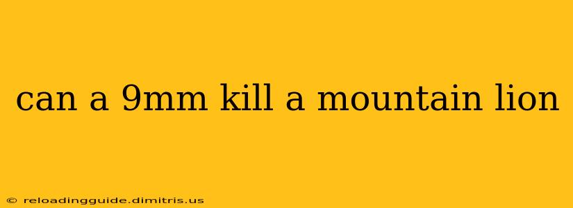 can a 9mm kill a mountain lion