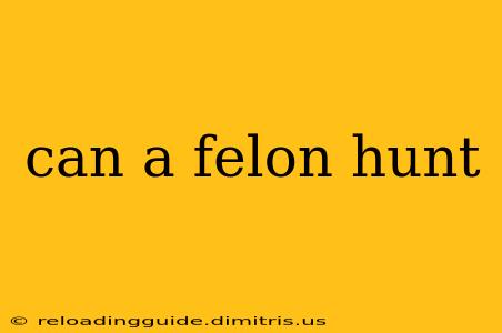 can a felon hunt