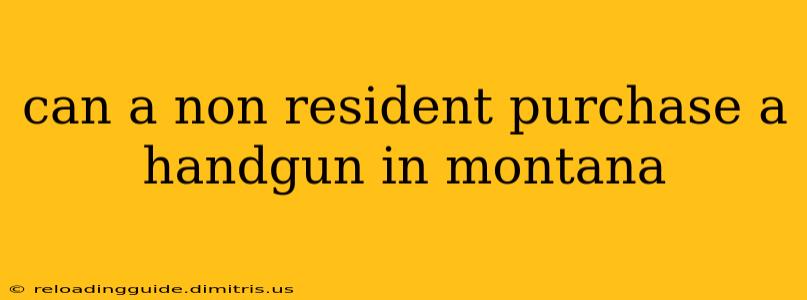 can a non resident purchase a handgun in montana