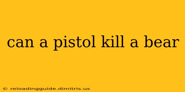 can a pistol kill a bear