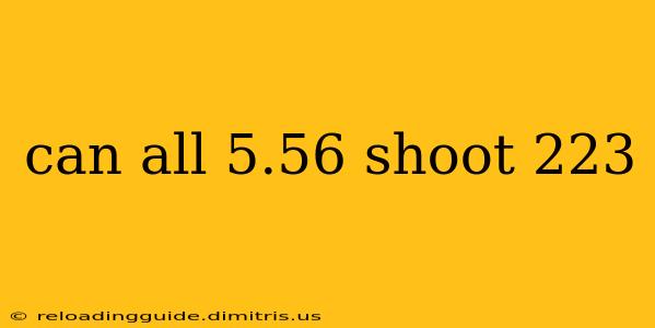 can all 5.56 shoot 223