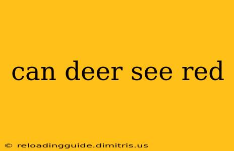 can deer see red