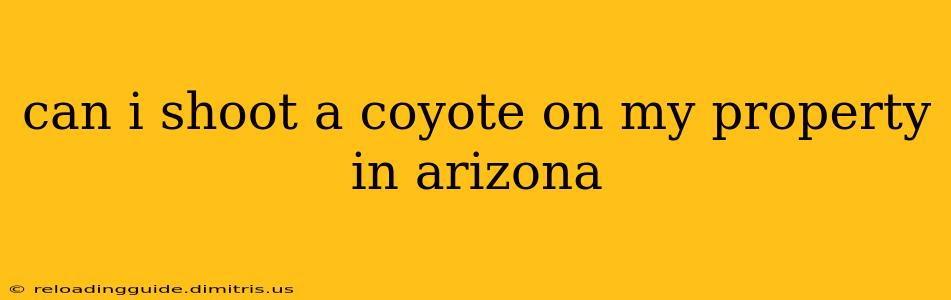 can i shoot a coyote on my property in arizona