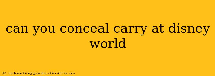 can you conceal carry at disney world