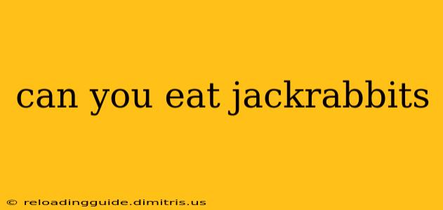 can you eat jackrabbits