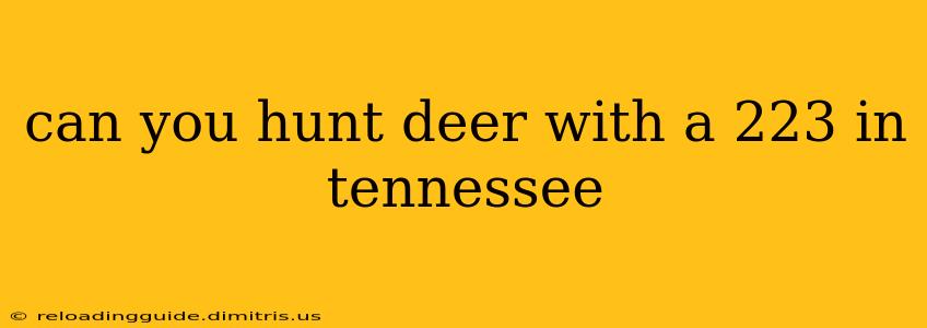 can you hunt deer with a 223 in tennessee