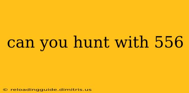 can you hunt with 556