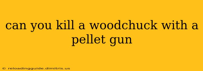 can you kill a woodchuck with a pellet gun