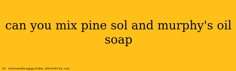 can you mix pine sol and murphy's oil soap