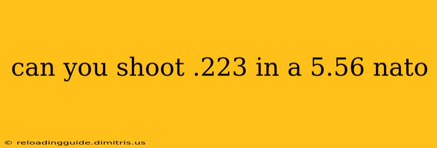 can you shoot .223 in a 5.56 nato