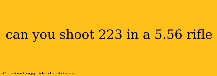 can you shoot 223 in a 5.56 rifle