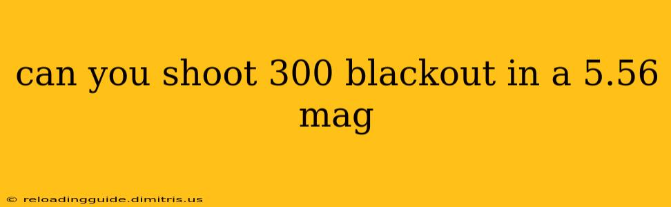 can you shoot 300 blackout in a 5.56 mag