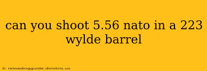 can you shoot 5.56 nato in a 223 wylde barrel