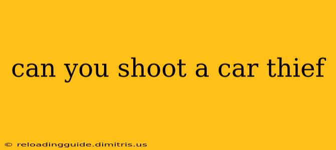 can you shoot a car thief