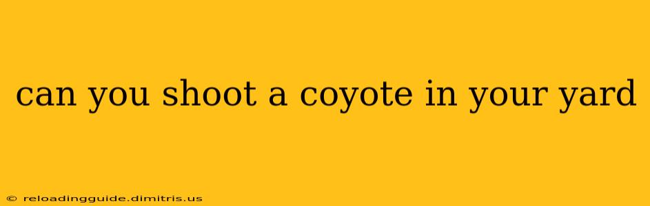 can you shoot a coyote in your yard