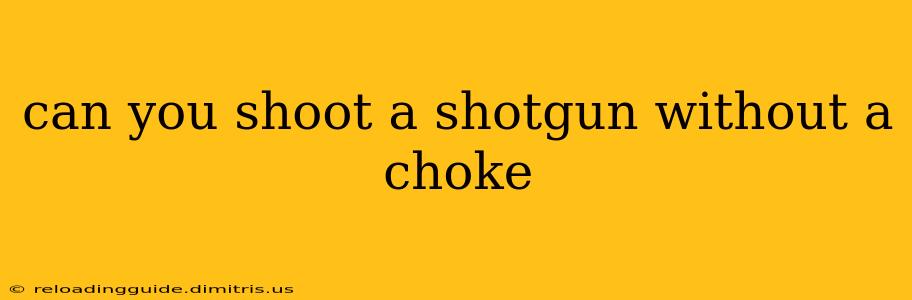 can you shoot a shotgun without a choke