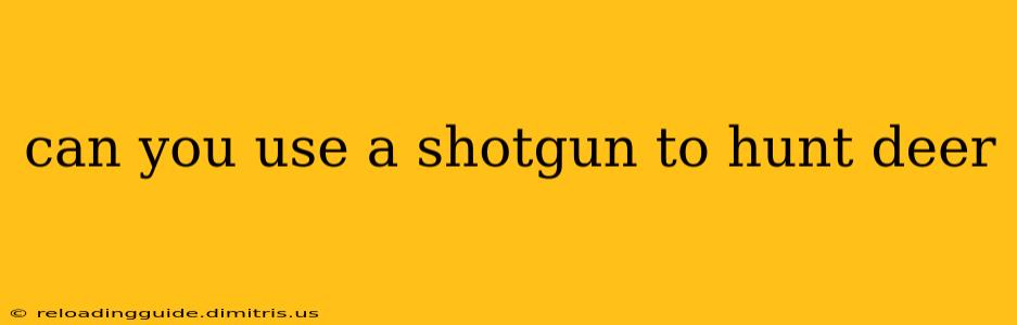 can you use a shotgun to hunt deer