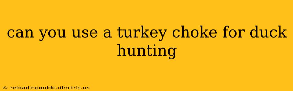 can you use a turkey choke for duck hunting