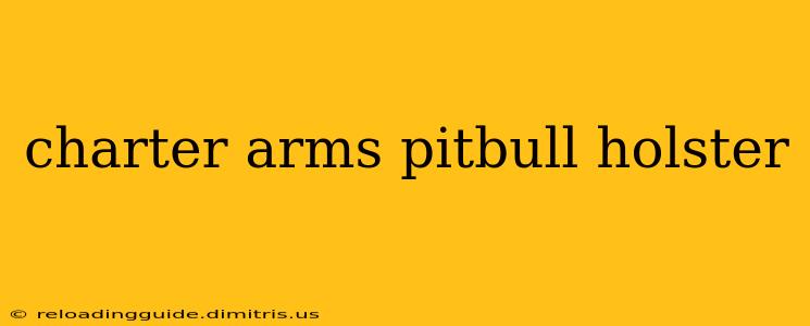 charter arms pitbull holster