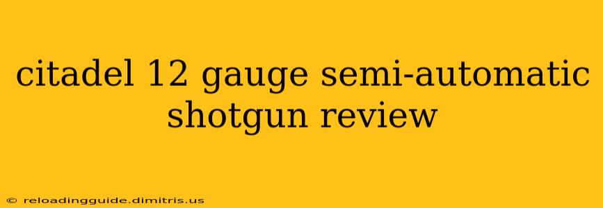 citadel 12 gauge semi-automatic shotgun review