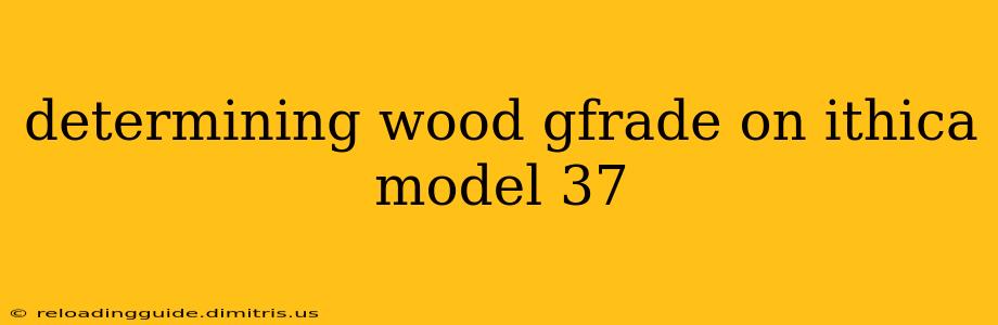 determining wood gfrade on ithica model 37